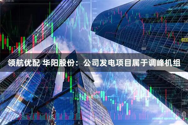 领航优配 华阳股份：公司发电项目属于调峰机组