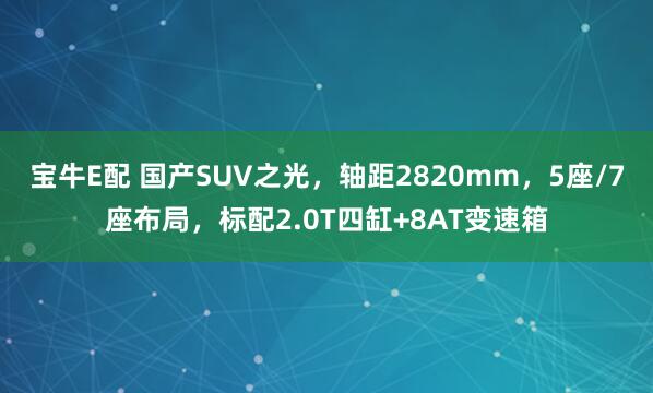 宝牛E配 国产SUV之光，轴距2820mm，5座/7座布局，标配2.0T四缸+8AT变速箱