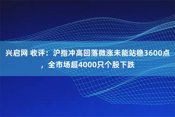 兴启网 收评：沪指冲高回落微涨未能站稳3600点，全市场超4000只个股下跌